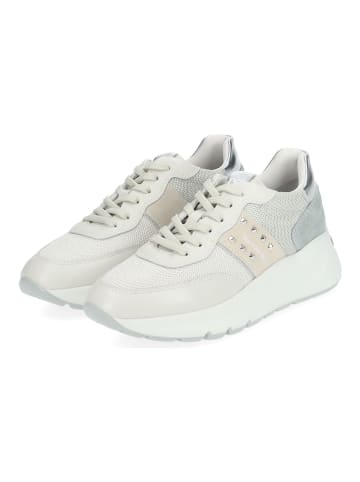 Nero Giardini Sneaker in Grau/Multi