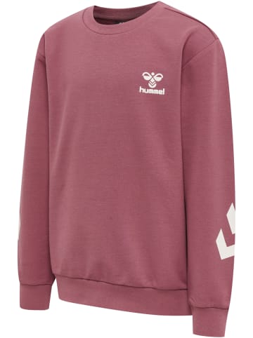Hummel Anzug Hmlventi Kinder in DECO ROSE