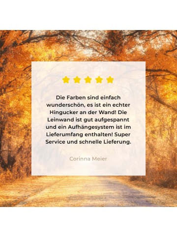 MuchoWow Leinwand bilder Waldweg (BxH)