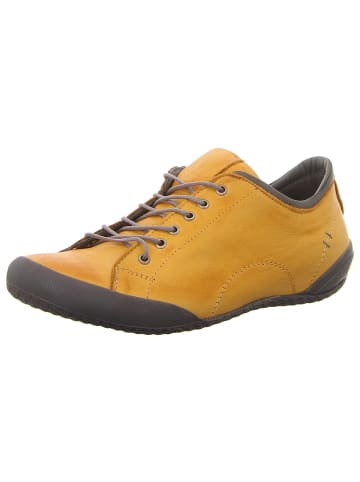 Andrea Conti SHOES Schnürschuhe in okker/kombi