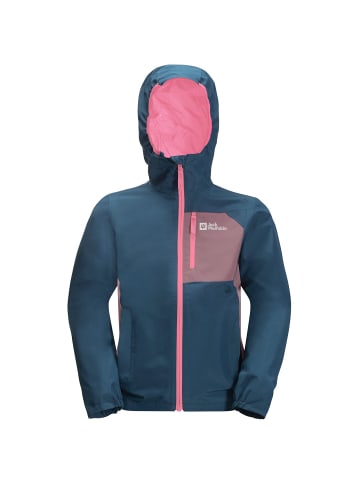 Jack Wolfskin ACTIVE HIKE JACKET in Blau
