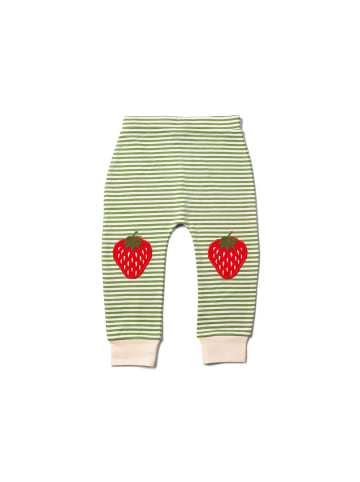 Little Green Radicals Jogger Erdbeer-Knieaufnäher in Grün