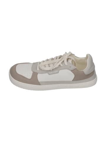 Muris Sneaker Low Majorca SHE in grau