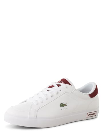 Lacoste Sneaker in weiß bordeaux