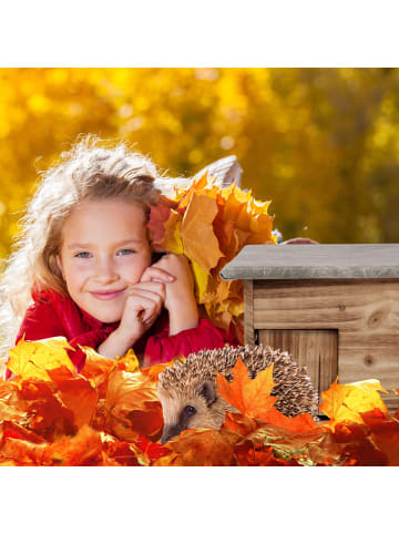 relaxdays Igelhaus in Geflammt - (B)46 x (H)21 x (T)34 cm