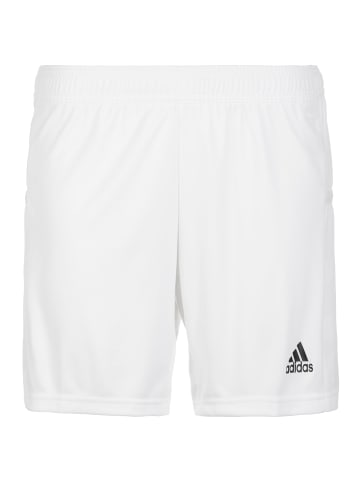 adidas Performance Funktionsshorts Team 19 Knitted in weiß