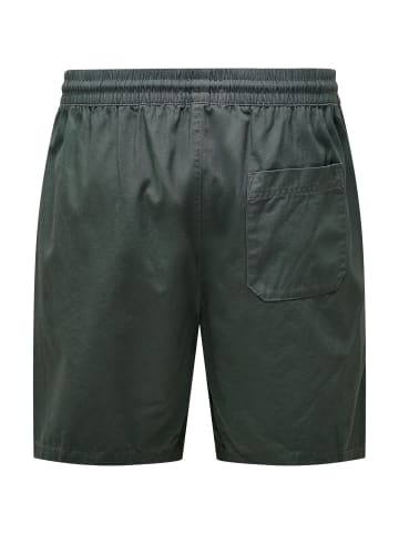 Only&Sons Shorts 'Tell Life 0119' in dunkelgrün