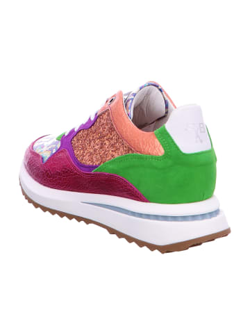 Floris van Bommel Sneaker Low in Pink