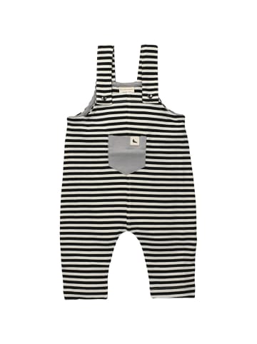 Turtledove London Babylatzhose Streifen in multicolor