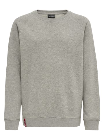 Hummel Hummel Sweatshirt Raglanärmel Hmlred Kinder in GREY MELANGE