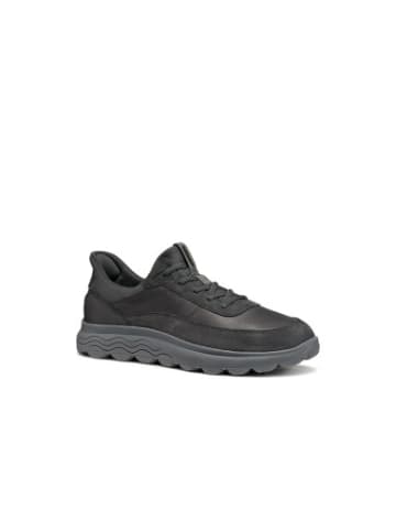 Geox Sneackers U in bunt