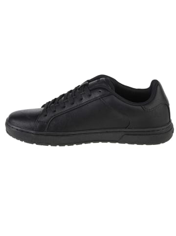 Levi´s Levi's Sneakers Piper in Schwarz