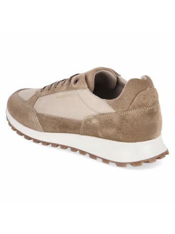 Bullboxer Low Sneaker in beige