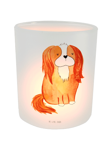 Mr. & Mrs. Panda Windlicht Hund Cavalier King Charles Spaniel oh... in Transparent