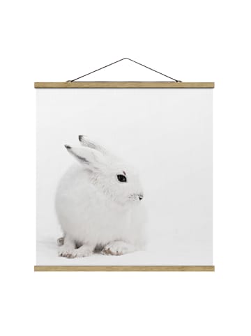 WALLART Stoffbild mit Posterleisten - Arktischer Hase in Weiß