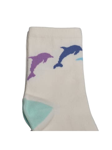 GAP Socken in Multicolored