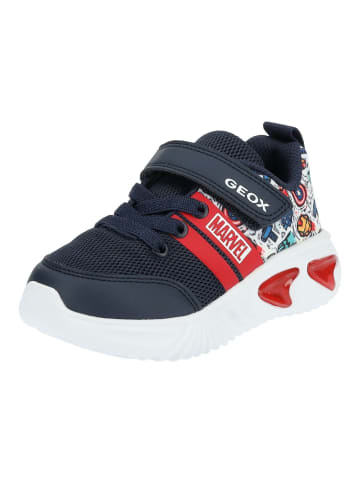 Geox Sneaker in Blau/Multi