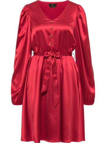 faina Kleid in Rot