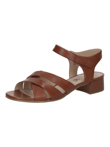 Caprice Sandalen in Cognac