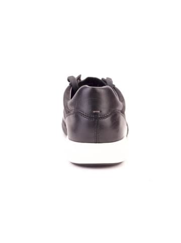 Cole Haan Turnschuhe C28345 in Schwarz