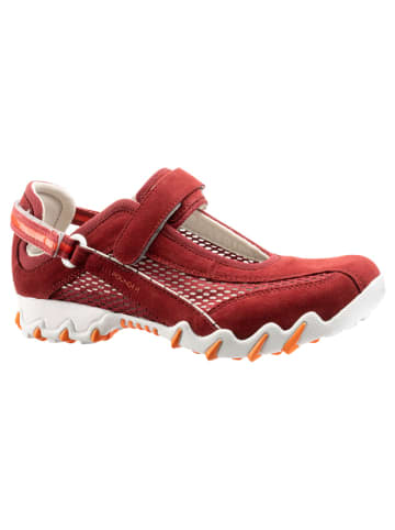 Allrounder Halbschuh Niro Velourleder / Mesh in Rosewood / Rosewood