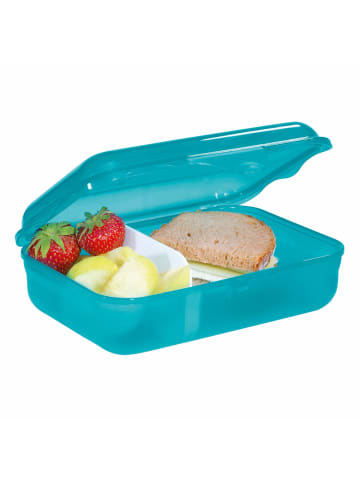 Step by Step Brotdose 18 cm in Dog Basty