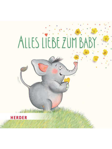 Herder Freiburg Roman - Alles Liebe zum Baby