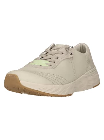 Whistler Sneaker Aquila in 1116 Moonbeam