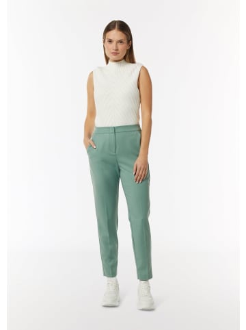 comma Hose in 6520_minze