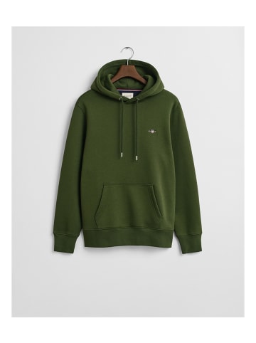 Gant Sweatshirt in Grün