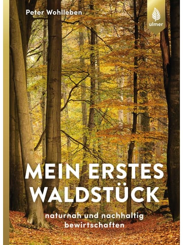 Ulmer Mein erstes Waldstück