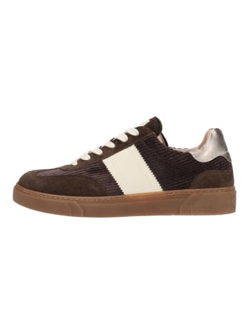 Nero Giardini Sneaker in Dunkelbraun