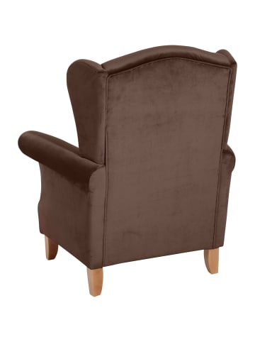 58 aufm Kessel OHRENSESSEL Katria Bezug Samtvelours Buche natur / braun