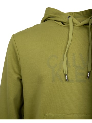 Calvin Klein Sweatshirt in Grün