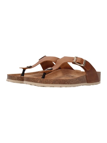 SALAMANDER Zehenstegsandalen Basic in Cognac