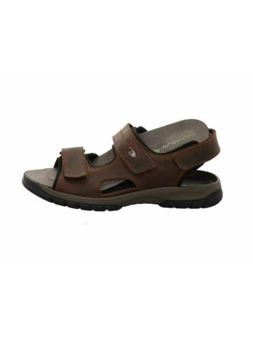 WALDLÄUFER Outdoorsandalen für Herren in braun