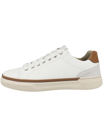 Bullboxer Sneaker low 281S20001A in beige