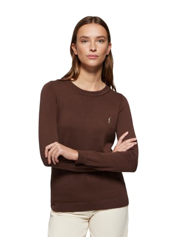 Polo Club Pullover in Braun