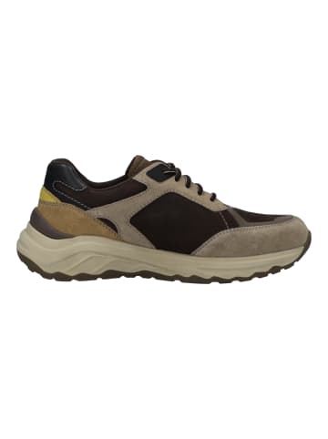 Josef Seibel Sneaker Davie 03 in braun