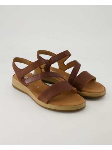 Gabor Comfort Sandalen in Braun