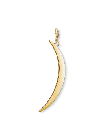 Thomas Sabo Charms & Anhänger für Erwachsene in uni