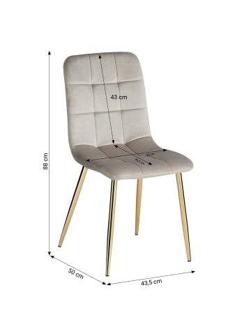 Homestyle4u Esszimmerstuhl 6er Set in Beige und Gold, Samt
