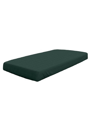 Dormisette Spannbetttuch Mako-Feinjersey in pine green
