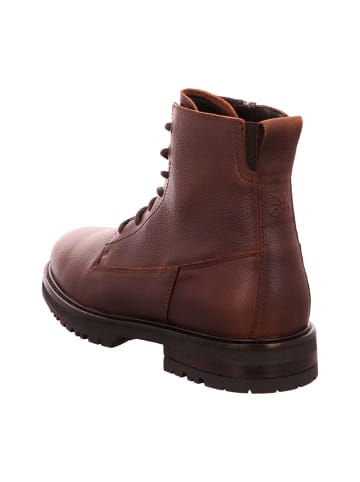 Marc O'Polo Schnürstiefeletten in Braun