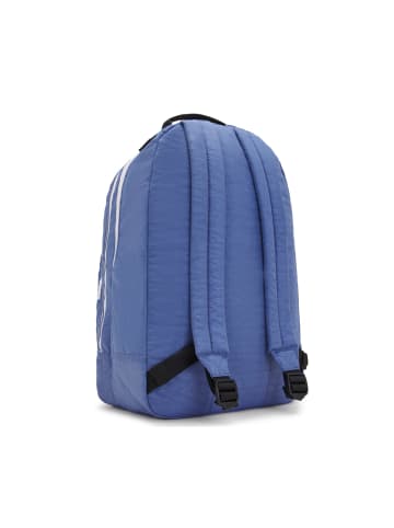 Deuter Curtes XL 28 Liter Laptop Rucksack in Blue Lover Combo
