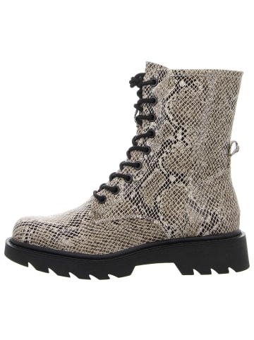 Tamaris Schnürstiefeletten in BEIGE SNAKE