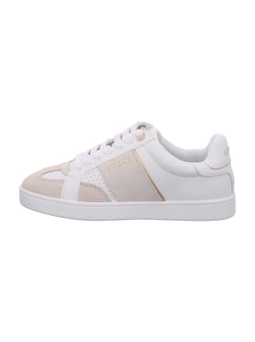 Guess Sneaker Low in Beige