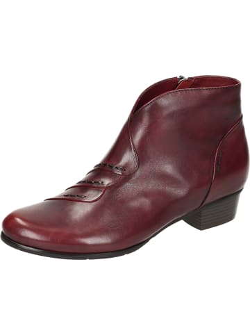 Piazza Klassische Stiefeletten in sangria