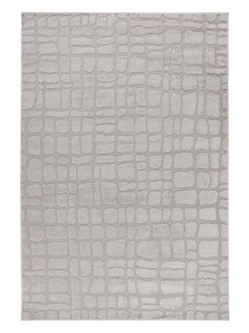 Vivorum Wohnzimmer / Schlafzimmer Kurzflor Teppich Angel 125 in silber