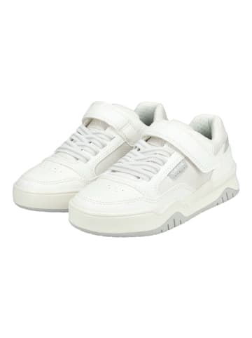 Geox Sneaker in Weiß/Grau